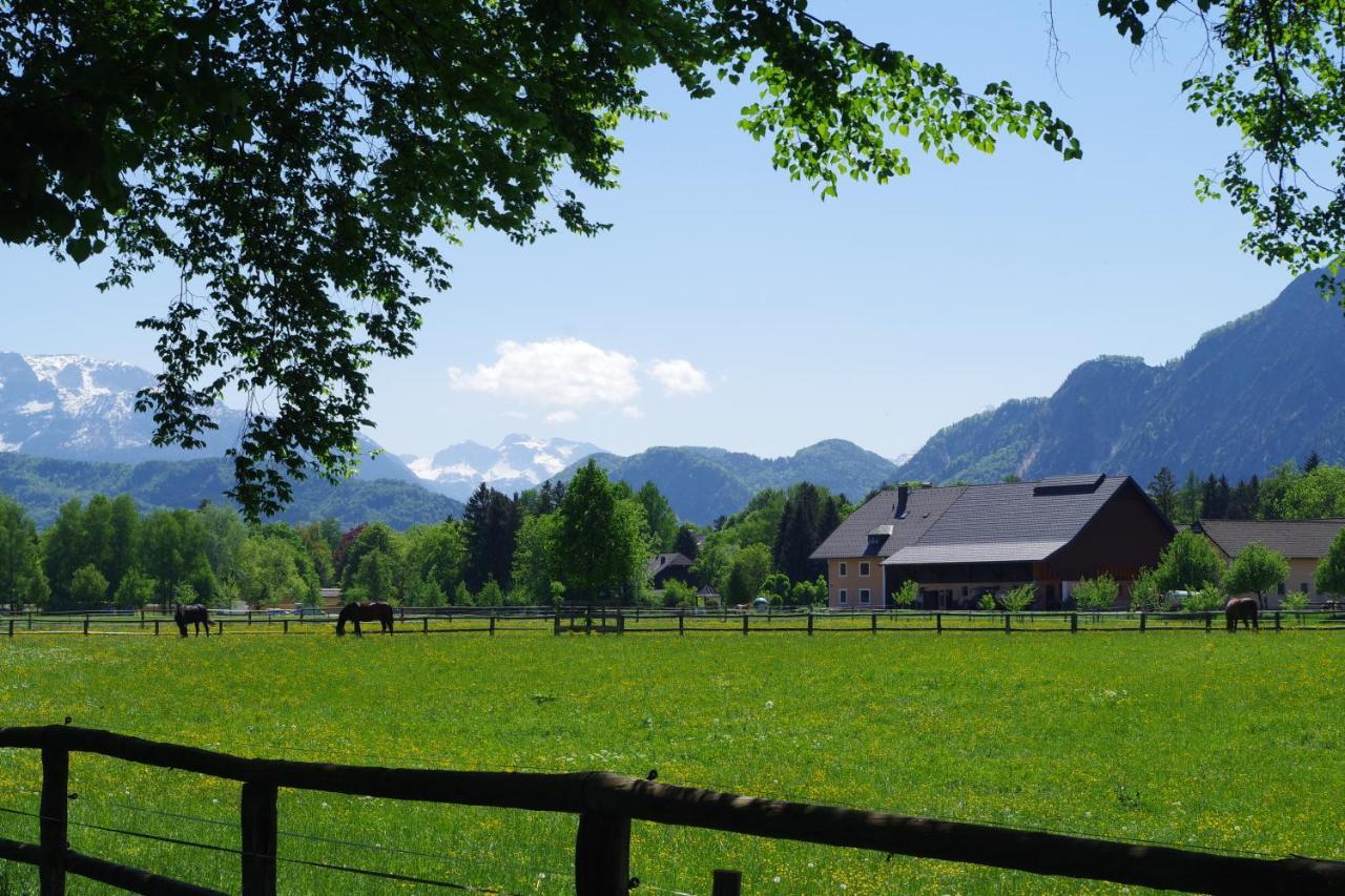 Sishaus - View At Mozarts Hostel ซาลซ์บูร์ก ภายนอก รูปภาพ